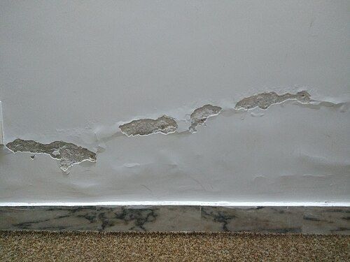 bas de mur humide : peinture qui cloque au-dessus de la plinthe