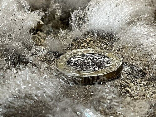 Cristaux blancs de salpêtre en aiguilles autour d'une pièce de monnaie posée pour l'échelle